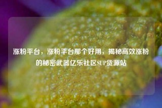 涨粉平台,涨粉平台那个好用,揭秘高效涨粉的秘密武器亿乐社区SUP货源站