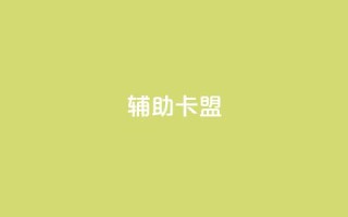 CF辅助卡盟 - 卡盟优化工具,助力CF游戏SEO~