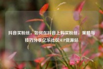 抖音买粉丝,如何在抖音上购买粉丝,策略与技巧分享亿乐社区SUP货源站