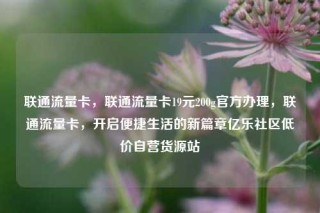 联通流量卡,联通流量卡19元200g官方办理,联通流量卡,开启便捷生活的新篇章亿乐社区低价自营货源站