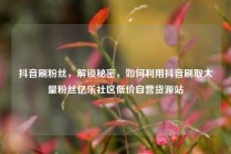 抖音刷粉丝,解锁秘密,如何利用抖音刷取大量粉丝亿乐社区低价自营货源站