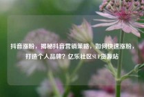 抖音涨粉,揭秘抖音营销策略,如何快速涨粉,打造个人品牌?亿乐社区SUP货源站