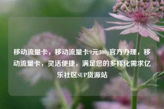 移动流量卡,移动流量卡9元300g官方办理,移动流量卡,灵活便捷,满足您的多样化需求亿乐社区SUP货源站