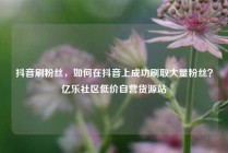 抖音刷粉丝,如何在抖音上成功刷取大量粉丝?亿乐社区低价自营货源站