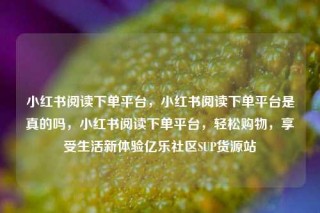 小红书阅读下单平台,小红书阅读下单平台是真的吗,小红书阅读下单平台,轻松购物,享受生活新体验亿乐社区SUP货源站
