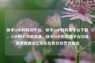 快手24小时购买平台,快手24小时购买平台下载,24小时不间断直播,快手24小时购物平台引领消费新潮流亿乐社区低价自营货源站