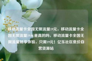 移动流量卡全国无限流量19元,移动流量卡全国无限流量19元是真的吗,移动流量卡全国无限流量畅享体验,只需19元!亿乐社区低价自营货源站