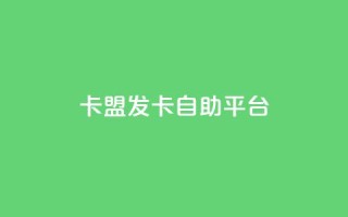 卡盟发卡自助平台 - 发卡自助平台卡盟,助您轻松发卡。