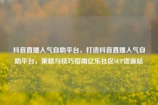 抖音直播人气自助平台,打造抖音直播人气自助平台,策略与技巧指南亿乐社区SUP货源站