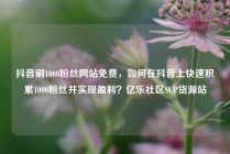 抖音刷1000粉丝网站免费,如何在抖音上快速积累1000粉丝并实现盈利?亿乐社区SUP货源站