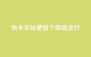快手买站便宜100个微信支付,快手推广上热门软件下载 - 子潇网络老马低价下单 - 永久会员