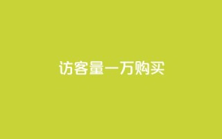 qq访客量一万购买 - 如何购买一万个QQ访客量,轻松获取访客流量。