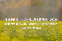 小红书粉丝,小红书粉丝怎么移除掉,小红书的魅力与魅力人群,揭秘小红书粉丝的秘密亿乐社区SUP货源站