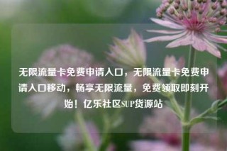 无限流量卡免费申请入口,无限流量卡免费申请入口移动,畅享无限流量,免费领取即刻开始!亿乐社区SUP货源站