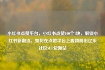 小红书点赞平台,小红书点赞100个1块,解锁小红书新潮流,如何在点赞平台上脱颖而出亿乐社区SUP货源站