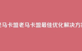 老马卡盟(老马卡盟:最佳SEO优化解决方案)