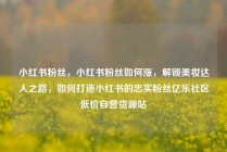 小红书粉丝,小红书粉丝如何涨,解锁美妆达人之路,如何打造小红书的忠实粉丝亿乐社区低价自营货源站