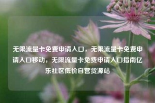 无限流量卡免费申请入口,无限流量卡免费申请入口移动,无限流量卡免费申请入口指南亿乐社区低价自营货源站