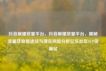 抖音刷播放量平台，抖音刷播放量平台，揭秘流量获取新途径与潜在风险分析亿乐社区SUP货源站