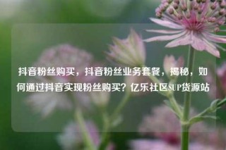 抖音粉丝购买,抖音粉丝业务套餐,揭秘,如何通过抖音实现粉丝购买?亿乐社区SUP货源站