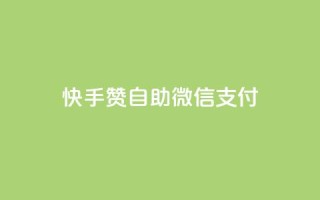 快手赞自助微信支付,快手业务在线下单平台全网最低 - 子潇24小时下单 - 空间访问量50000免费