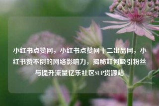 小红书点赞网,小红书点赞网十二出品网,小红书赞不倒的网络影响力,揭秘如何吸引粉丝与提升流量亿乐社区SUP货源站
