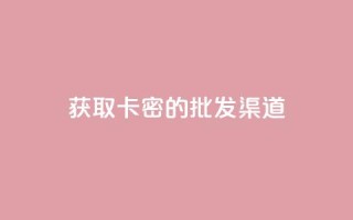 获取卡密的批发渠道