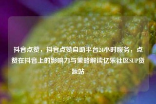 抖音点赞,抖音点赞自助平台24小时服务,点赞在抖音上的影响力与策略解读亿乐社区SUP货源站