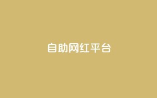 dy自助网红平台,快手一元一万点赞 - 快手业务粉丝永不掉粉 - 一元一百个赞抖音网站