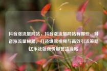 抖音涨流量网站,抖音涨流量网站有哪些,抖音涨流量秘籍,打造爆款视频与高效引流策略亿乐社区低价自营货源站