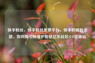 快手粉丝,快手粉丝免费平台,快手的崛起之路,如何吸引和维护粉丝亿乐社区SUP货源站