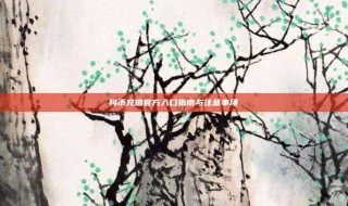 抖币充值官方入口指南与注意事项