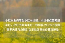 小红书业务平台小红书点赞,小红书点赞网络平台,小红书业务平台—如何在小红书上获得更多关注与点赞?亿乐社区低价自营货源站