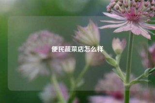 便民蔬菜店怎么样