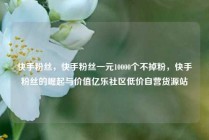 快手粉丝,快手粉丝一元10000个不掉粉,快手粉丝的崛起与价值亿乐社区低价自营货源站