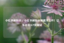 小红书刷粉丝,小红书刷粉丝秘籍大公开!亿乐社区SUP货源站