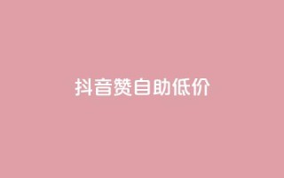 抖音赞自助低价,全网低价免费自助下单QQ空间 - ks24小时自助服务平台 - 抖音做什么赛道最容易涨粉吗
