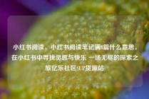 小红书阅读,小红书阅读笔记满8篇什么意思,在小红书中寻找灵感与快乐 一场无尽的探索之旅亿乐社区SUP货源站