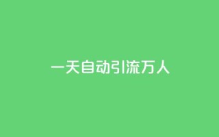 qq一天自动引流5万人,ks业务下单平台 - QQ空间刷人气工具 - ks粉丝