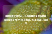 抖音刷播放量平台,抖音刷播放量平台揭秘,如何在数字海洋中猎取流量?亿乐社区SUP货源站
