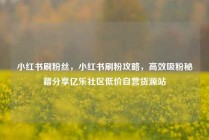小红书刷粉丝,小红书刷粉攻略,高效吸粉秘籍分享亿乐社区低价自营货源站