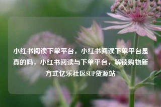 小红书阅读下单平台,小红书阅读下单平台是真的吗,小红书阅读与下单平台,解锁购物新方式亿乐社区SUP货源站