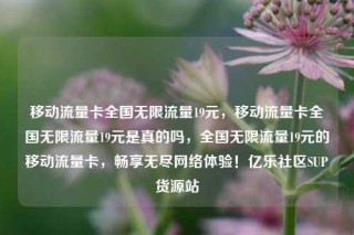 移动流量卡全国无限流量19元,移动流量卡全国无限流量19元是真的吗,全国无限流量19元的移动流量卡,畅享无尽网络体验!亿乐社区SUP货源站