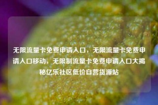 无限流量卡免费申请入口,无限流量卡免费申请入口移动,无限制流量卡免费申请入口大揭秘亿乐社区低价自营货源站