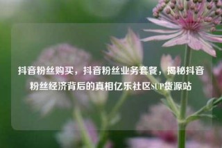 抖音粉丝购买,抖音粉丝业务套餐,揭秘抖音粉丝经济背后的真相亿乐社区SUP货源站