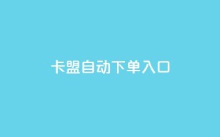 卡盟自动下单入口 - 卡盟自动下单服务专区!