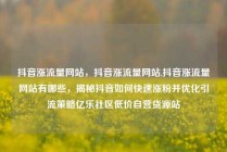 抖音涨流量网站,抖音涨流量网站,抖音涨流量网站有哪些,揭秘抖音如何快速涨粉并优化引流策略亿乐社区低价自营货源站