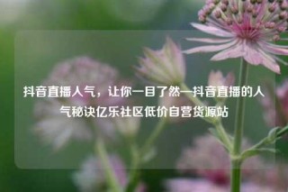 抖音直播人气,让你一目了然—抖音直播的人气秘诀亿乐社区低价自营货源站