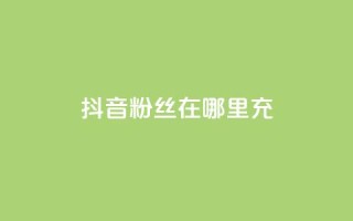 抖音粉丝在哪里充 - 哪里可以快速增加抖音粉丝数!