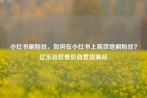 小红书刷粉丝,如何在小红书上高效地刷粉丝?亿乐社区低价自营货源站